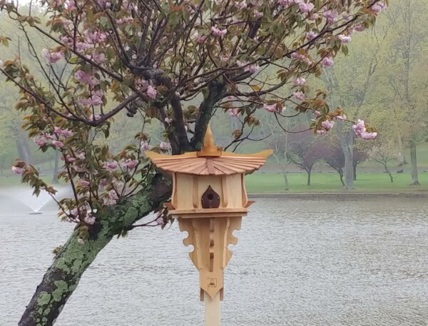 A wooden birdhouse with a decorative roof stands in front of a flowering tree by a lake, with pink blossoms and greenery in the background.