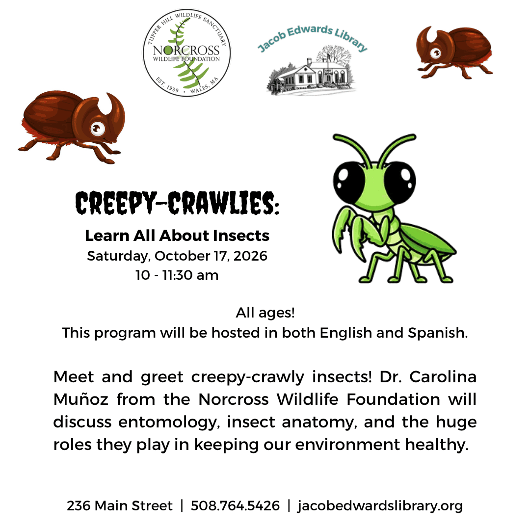 creepy crawlies