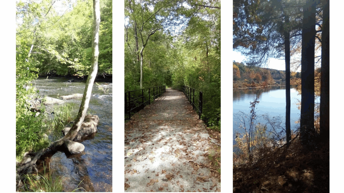 untitled design (90)